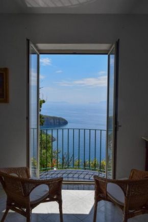IL GIARDINO SELVATICO DI SUCCELLARIO - APARTMENTS Ischia